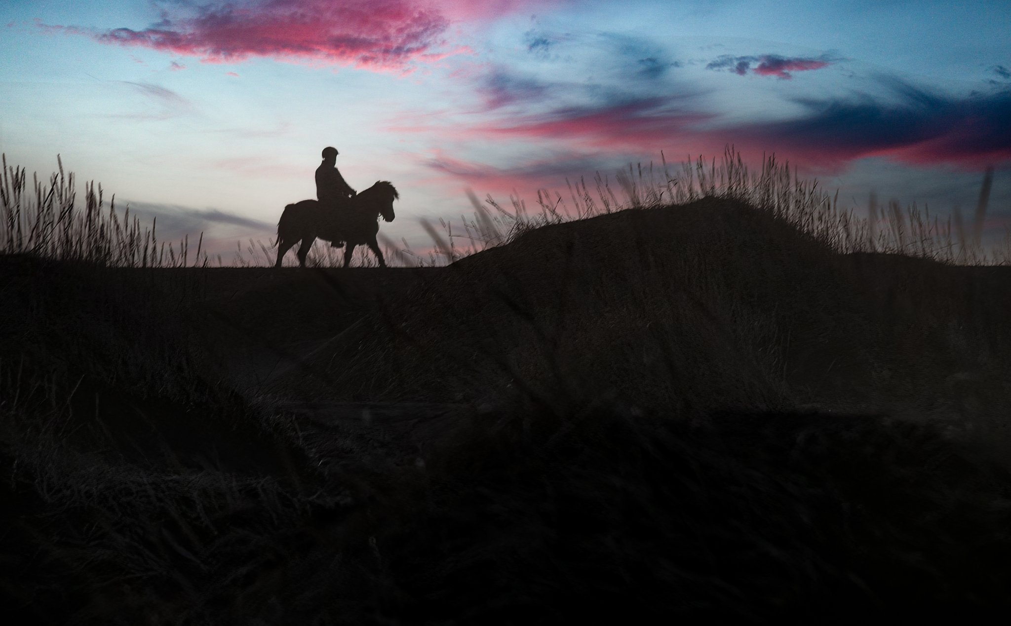 Icelandic Horse and Rider